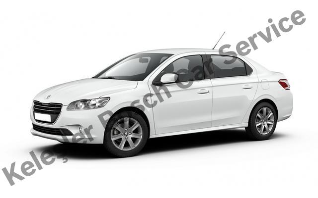 Zeytinburnu Peugeot Servisi