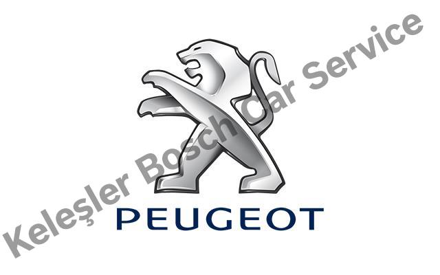 Zeytinburnu Peageut Servisi