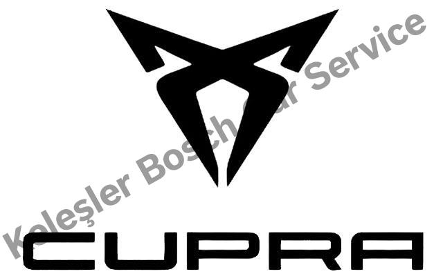 Zeytinburnu Cupra Servisi